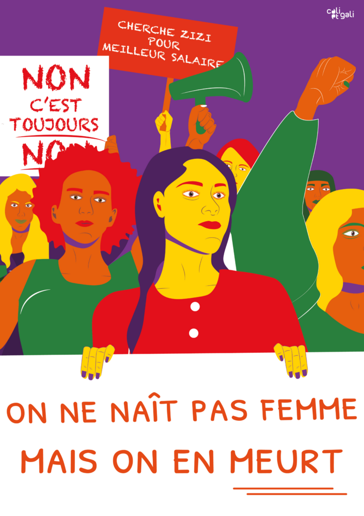 Affiche féministe : Affiche manifestation : des femmes portent une pancarte manifestation féministe "on ne nait pas femme mais on en meurt". 