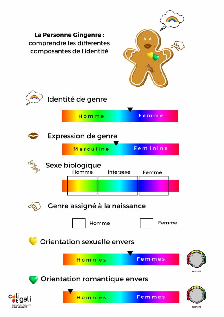 personne gingenre : un pain d'épice pour comprendre les différentes composante de l'identité